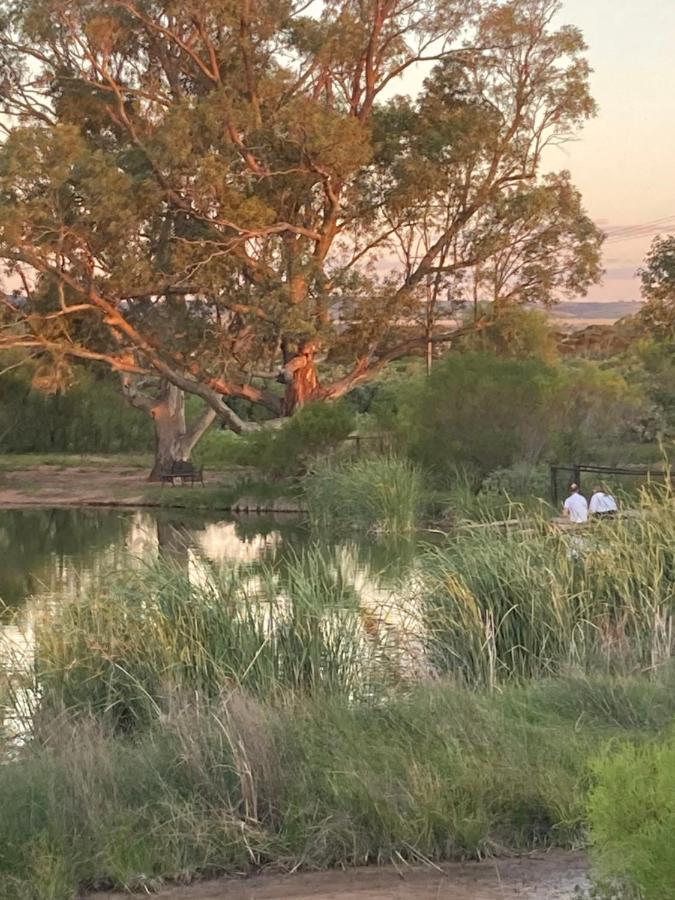 Still Earth Port Pirie Esterno foto