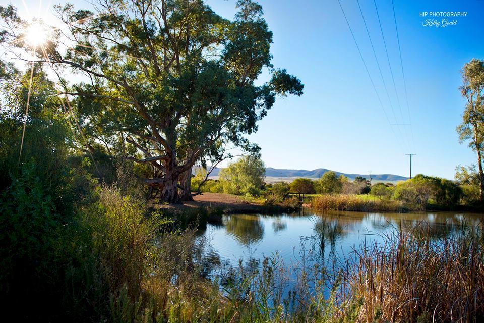 Still Earth Port Pirie Esterno foto