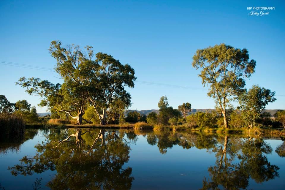 Still Earth Port Pirie Esterno foto